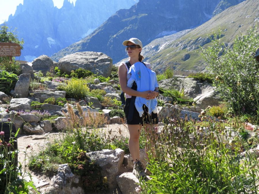 הגן האלפיני ב Monte Bianco