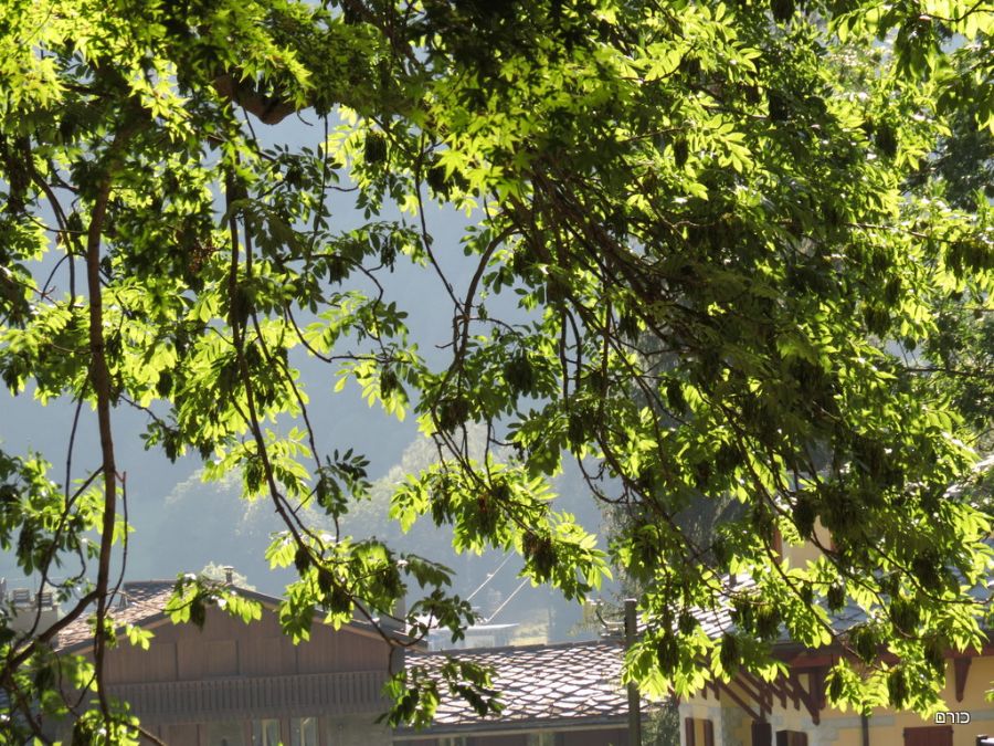 בפארק ב Chamonix 