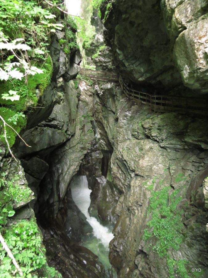 שצף קצף בערוץ גליפנקלאם