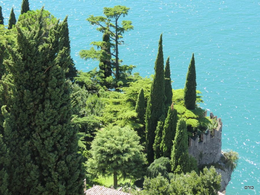 הנוף הנשקף מ castello Scaligero