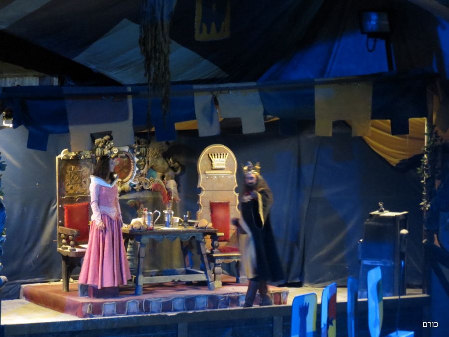 המלך מחפש שידך לבתו הנסיכה במשתה האבירים