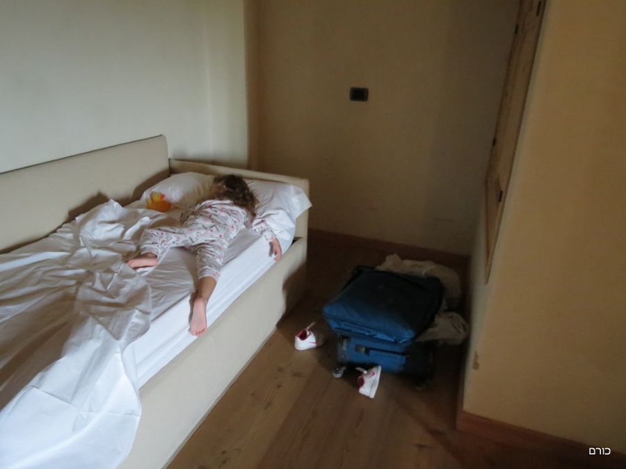 ברווזים במיטה מפוארת