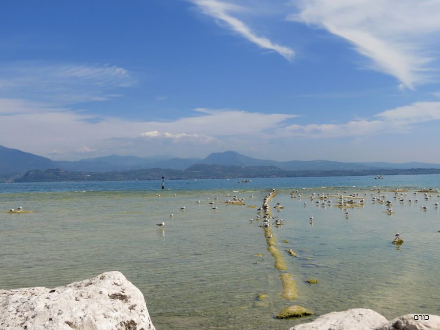 שחפים בחוף הרחצה של סרמיונה