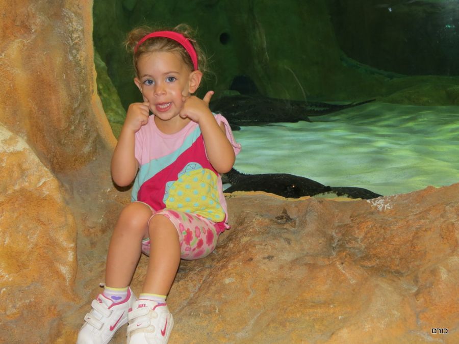 אקווריום חתולי הים ב Leolandia