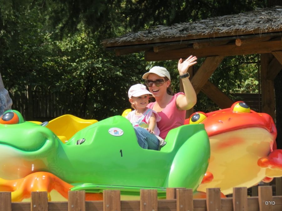 צפרדעים מסתובבות ב Leolandia