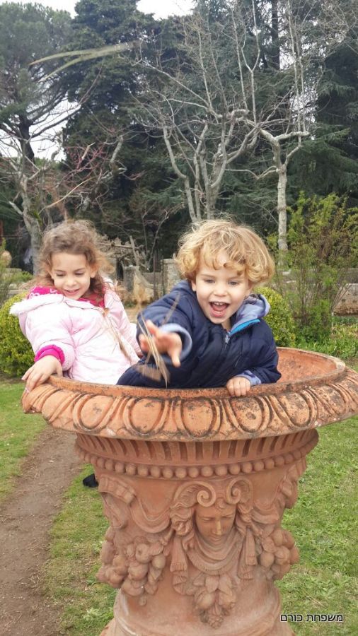 משחקים בעציץ